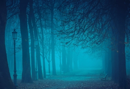 中国最大的瀑布叫什么?中国最大的瀑布叫什么?生肖