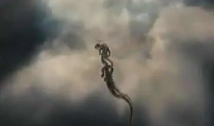 未解之谜:扑克牌女尸案协查通报 扑克牌女尸悬案