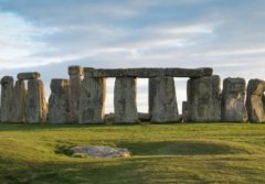 波斯猫两只眼睛颜色不一样