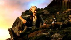 世界十大寿命最长鸟类葵花凤头鹦鹉等