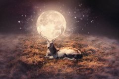 光速是第几宇宙速度接近光速就能飞离宇宙吗