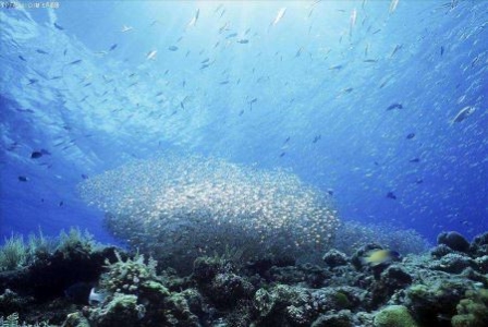 带状疱疹缠上身?蛇缠腰的发病真相与医治方法!