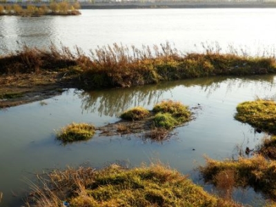 为女神弃赛最强大脑的何猷君,和女神约会时,却付不起一杯咖啡钱