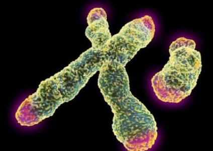 鼠标没坏但左键无法正常使用真相解决方法