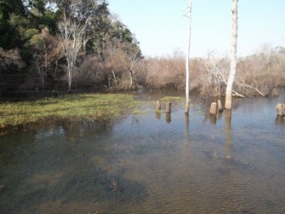 左海公园海底世界旅游，左海海底世界在左海公园里面吗？