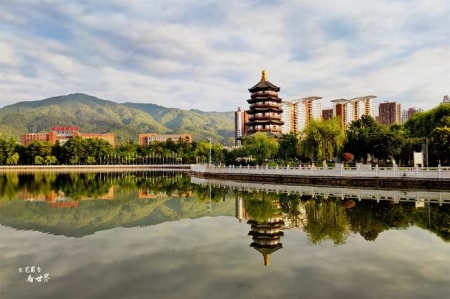 大熊猫金喜茱萸将前往西班牙马德里动物园