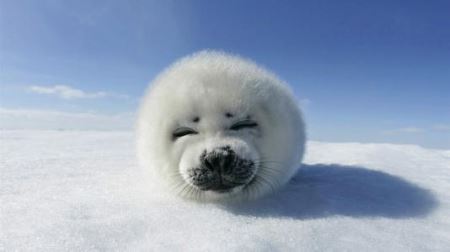 北京丰台附近好玩的地方 北京丰台区周边有什么好玩的景点？