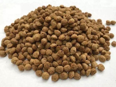 除了猫粮，猫咪还可以吃这6种食物，廉价又营养，一般家庭都有