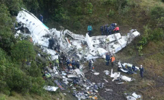 未解之谜：中国大蛇事件