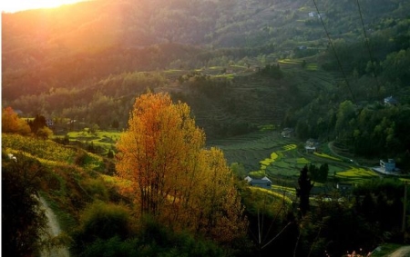 台儿庄旅游攻略二日游，台儿庄自助游攻略