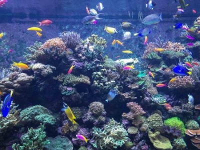 台儿庄旅游攻略二日游，台儿庄自助游攻略