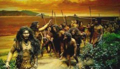 世界上最珍稀植物，桫椤是蕨类植物之王频危