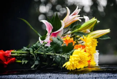 心脏疾病有哪些种类？6种常见的心脏疾病类型和治疗手段汇总！