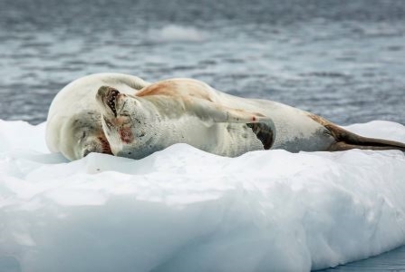湖北襄阳旅游攻略二日游多少钱啊