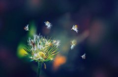 创维电视开不了机创维电视开不了机,但是电视的电源灯是亮的.解决