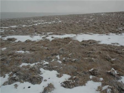 名古屋哪站好玩的地方 名古屋有哪些好玩的地方