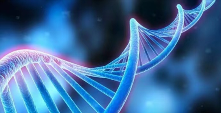 贫血有什么症状？脸色惨白头晕目眩食欲不振腹胀腹泻