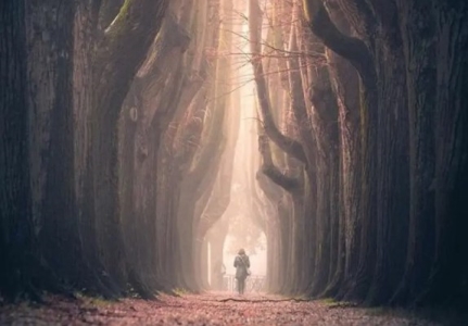 重庆711公交灵异事件 车祸鬼车装满鬼魂故地重游