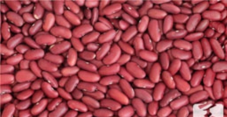 5个容易诱发痔疮的坏习惯 你中了几个？