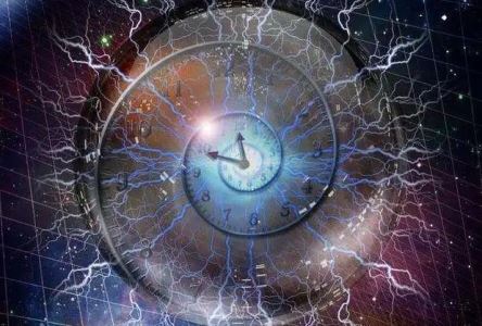 世界上最聪慧的狗，边境牧羊犬是驯马能手，还有骑马技能