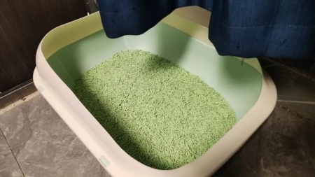 猫咪尿液检查重要检查什么?宠物主人在家给猫咪采尿可以吗?