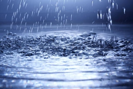 猫中之王是什么猫？雍容华贵的波斯猫，非常的懂事乖巧