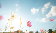 孕妇梦见大蛇被杀死预兆孕妇梦见大蛇被杀死