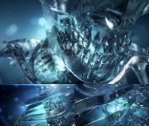 未解之谜：大蜘蛛福建大蜘蛛