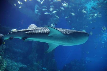 左权太行龙泉旅游攻略山西左权太行龙泉公园