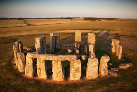 中国的国宝动物大熊猫金丝猴