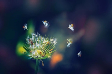 被已婚领导表白怎么办？