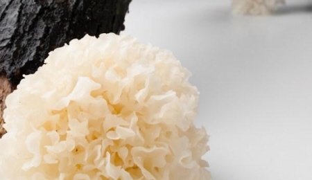 健身运动时吃鸡蛋白会引起放屁吗？