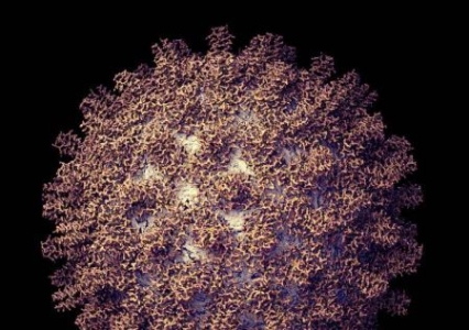 谷神星一号民营火箭残骸变身珠宝：18K真金手链+项链、3820元