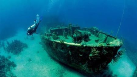 95年成都僵尸真实事件僵尸咬人会传染病吗?