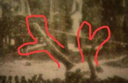 95年成都僵尸真实事件僵尸咬人会传染病吗?