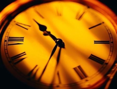 蜜獾对人类友好吗？