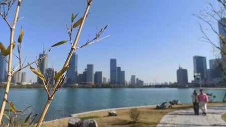 菏泽自驾一日游攻略？最佳景点推荐与美食攻略