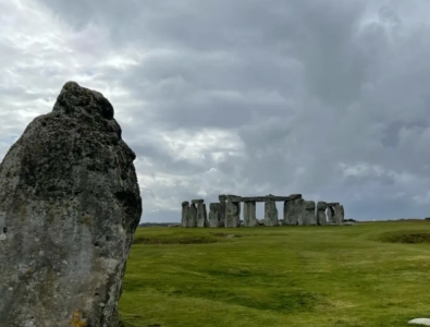 地球上10大深海鱼类,仿鲸科胃能伸缩存储食物,你知道几类?