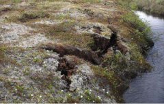 南川景点，南川哪儿好耍贴吧群