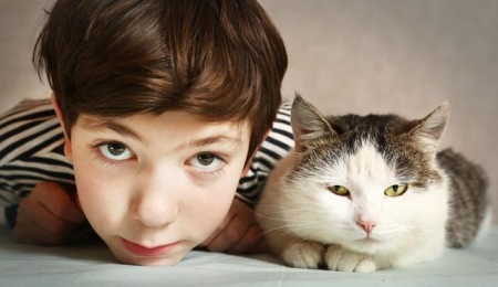 猫咪高冷不亲人，试试这4个方法，它能让你的猫爱上你 猫咪不亲人怎么训练