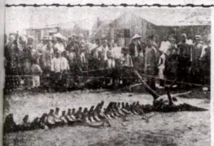 未解之谜:第三只眼象征什么