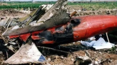 虎鲸和抹香鲸有哪些地方分别