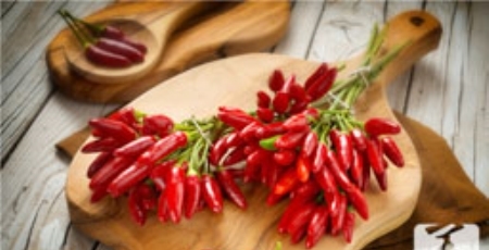 补肾的家常方法