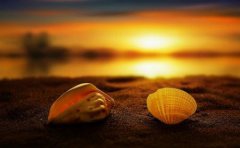 夫妻爱爱技巧让夫妻之间有更多的情感交流