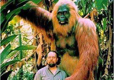 地球上最可怕的蛇眼镜蛇排行榜 第几