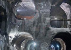 红烧糖醋排骨糖醋排骨做