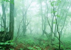 铜仁旅游攻略必玩的景点有哪些地方10大必