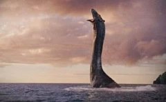 青海湖水怪是什么动物目击报告可以追溯到1955年