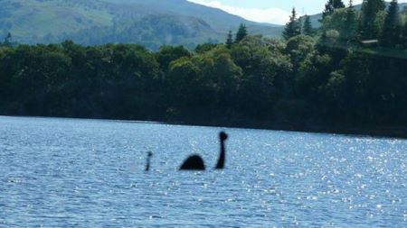 青海湖水怪是什么动物？关于青海湖水怪是什么动物？的目击报告可以追溯到1955年