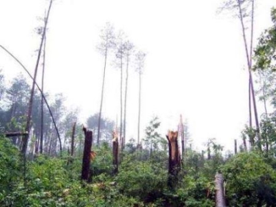 未解之谜:马航370事件赔偿金额 马航370赔偿多少钱